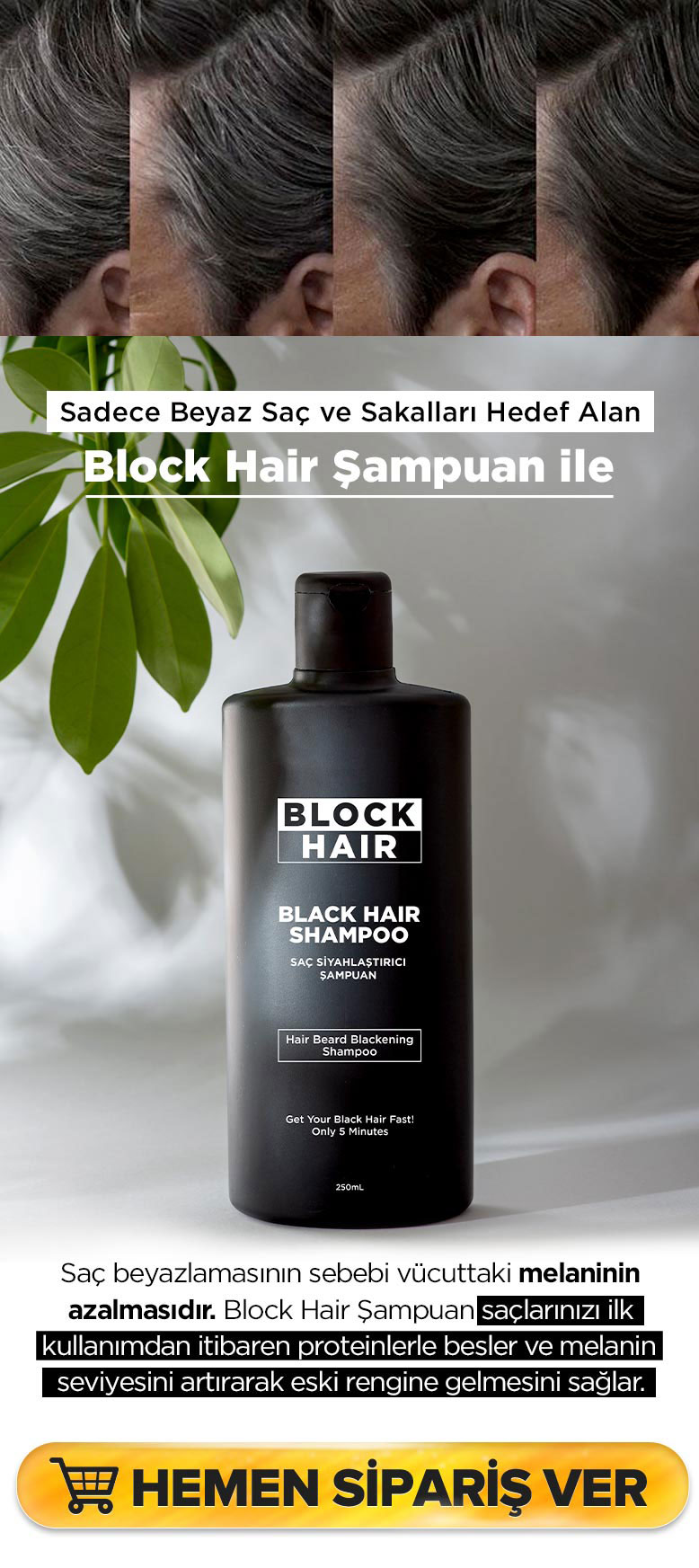 Beyaz saçları yok eden doğal çözüm Block Hair